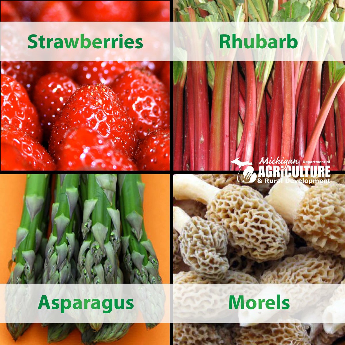 MichDeptofAg's tweet image. Spring in #PureMichigan sure looks delicious! Which #MIfood will be at your #MemorialDay BBQ?
