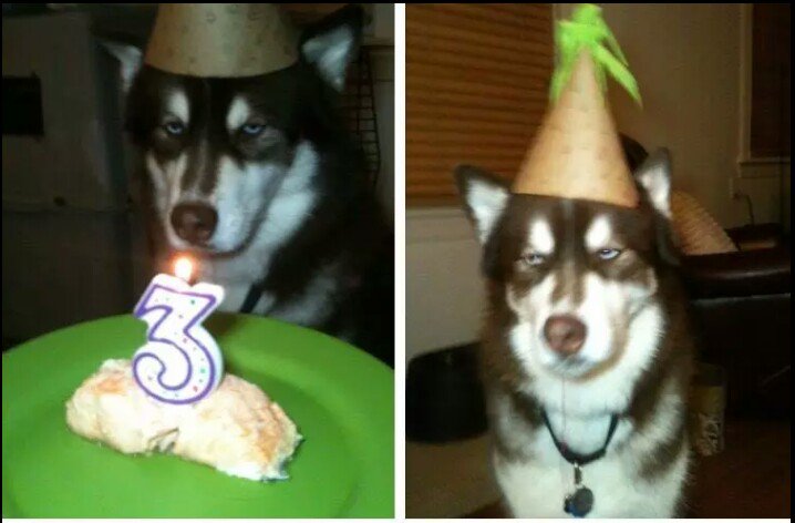 krum_memes's tweet photo. When youre in a bad mood but theres a fiesta in #sradarrah 's room https://t.co/0XZXCcAMz4