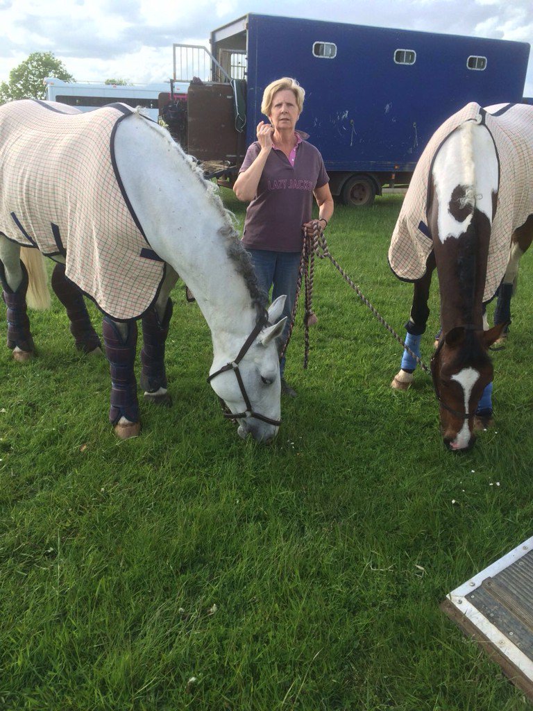 charleroo2406's tweet photo. Top groom/mum grazing the girls after great rounds at #RockinghamHT #cleverponies https://t.co/p45NZ2lXE5