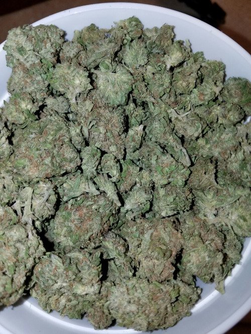tedsmarijuana's tweet image. High Grade Mr Nice Guy 💨💨💨

RT if you need this rn.