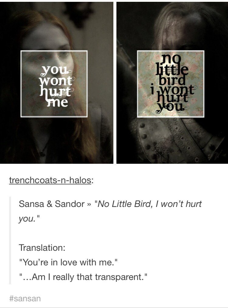 Sansa Stark (SH) (@areddirewolf) on Twitter photo 