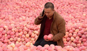 Alibaba’s Rural Service Centers Up Eightfold in Less Than a Year to 16,000 Villages: ow.ly/l6Ln300DceZ