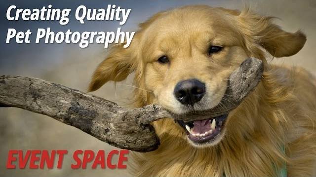 bhphoto's tweet photo. VIDEO: How to Create the Best Pet Photographs! https://t.co/HivMfpfwSo #BHEventSpace #PetPhotography https://t.co/dxVxwsNJsc