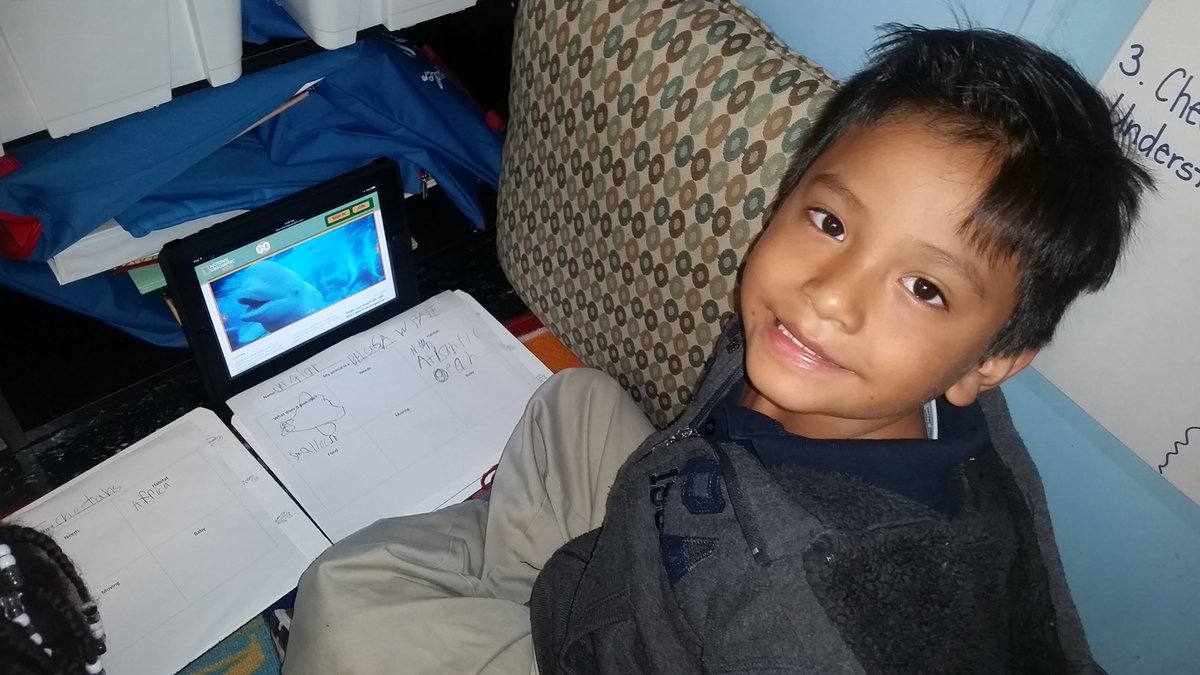 Ms_Dispoto's tweet photo. Independently researching animals and filling out our graphic organizers. #lakeland12 https://t.co/sAwnmhTAbP