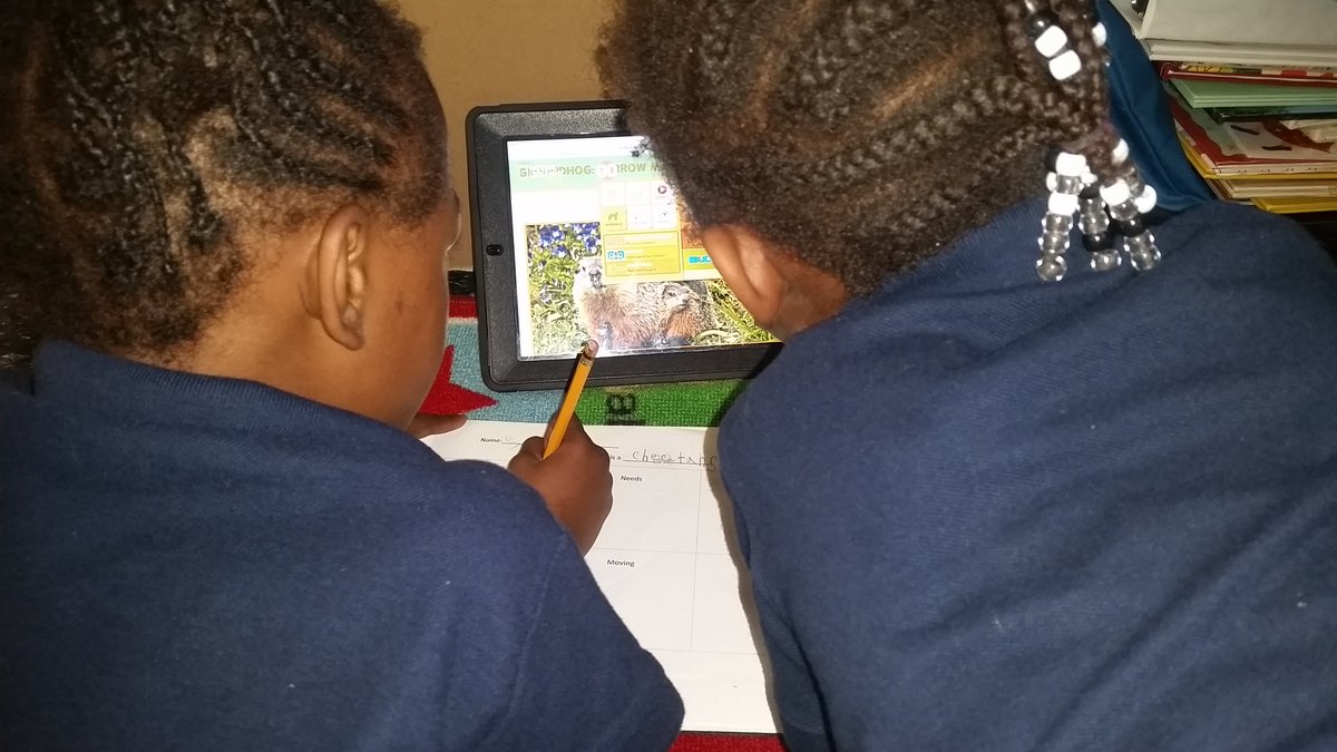 Ms_Dispoto's tweet photo. Independently researching animals and filling out our graphic organizers. #lakeland12 https://t.co/sAwnmhTAbP