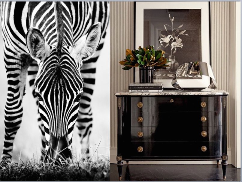 C2_Paint's tweet photo. Let the intricate beauty of nature inspire your interior design! #interiordesign #nature #c2color #fullspectrumcolor https://t.co/HjStF1nPTp