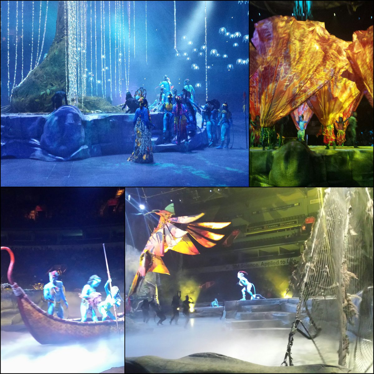 koralajoie's tweet photo. Went to see @Cirque #Toruk tonight, what a fantastic show! #FirstRowSeats https://t.co/hXJS7Rc7iz