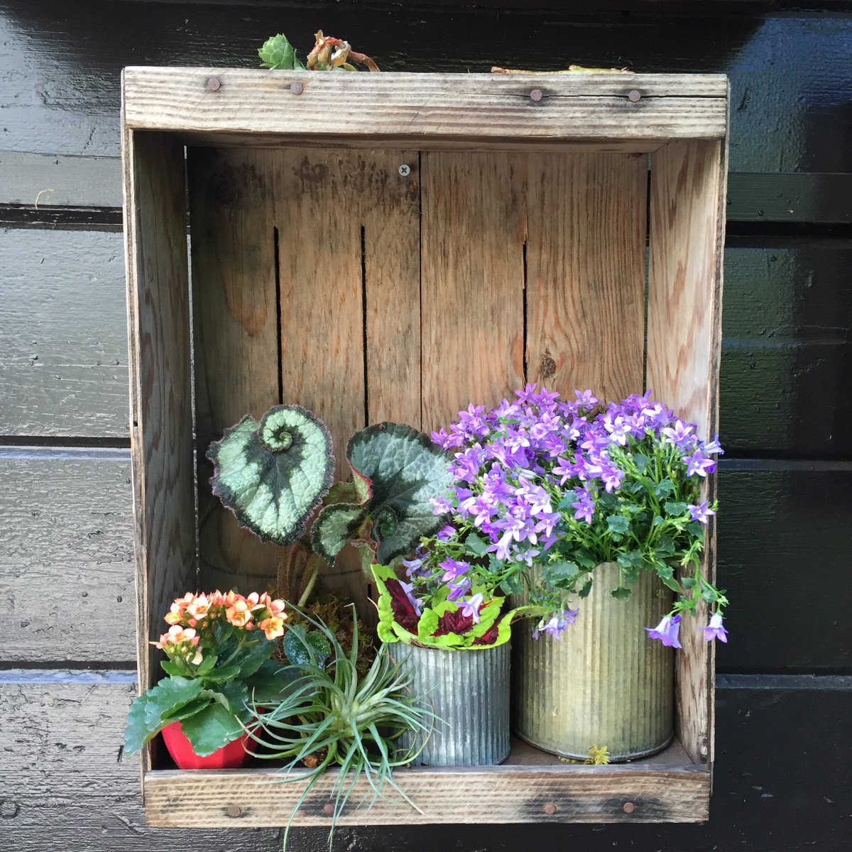 rubyplusrose's tweet image. Stable Cafe, you never fail to be absolutely adorable. So lucky to have this gem in my back yard! #themission