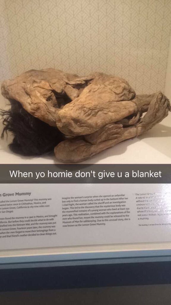 BeverlyHillsCEO's tweet image. When you stay at your ghetto friend house and you gotta sleep on the floor😂