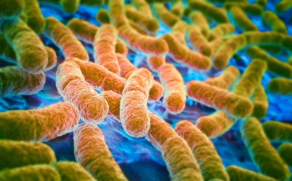 uspirg's tweet photo. Today “heralds the emergence of truly pan-drug resistant bacteria” https://t.co/e9rRrCKf2n via @NatGeo @marynmck https://t.co/MKoE7DImJM