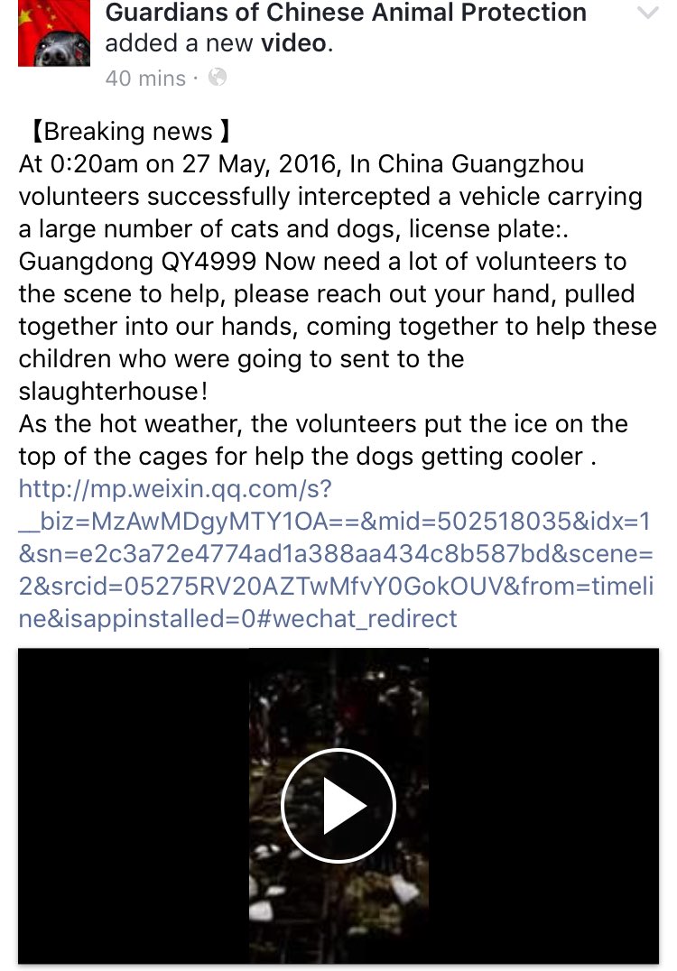 _elizabeach1's tweet photo. #Guangzhou #527🆘VOLUNTEERS NEEDED🆘ANOTHER TRUCK SUCCESSFULLY INTERCEPTED🆘 #ENDDOGMEAT #CHINA
https://t.co/By3nicRu20 https://t.co/cIU3K185mY