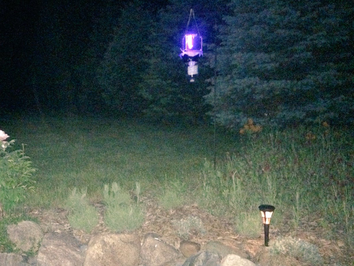 rsvoigt's tweet image. Rain rn sty awy so n my trap moths may stry. Prove my ? warmst nght: send MOR mths 2 my lght #mothproject @MMS_ELPS