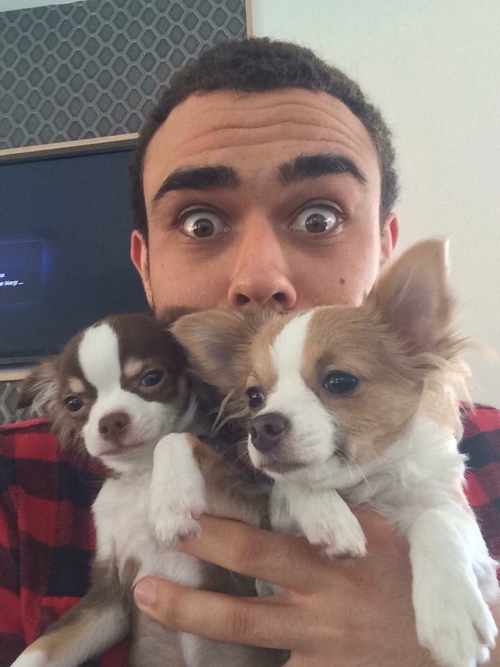 ChappellePics's tweet photo. @Achapphawk with puppies! 🐶🐶 https://t.co/Ung11VbmrN