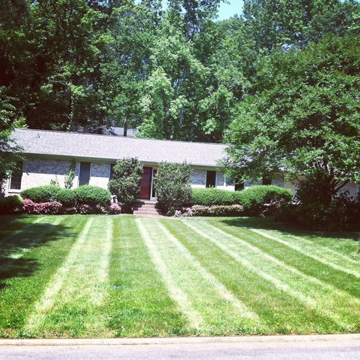 LawnGuide's tweet photo. #lawnstripes #beginnersguidetolawncare #fescuegrass https://t.co/3CGHeDNmSk https://t.co/fq6K9lwwZP https://t.co/WSd91lJsxK