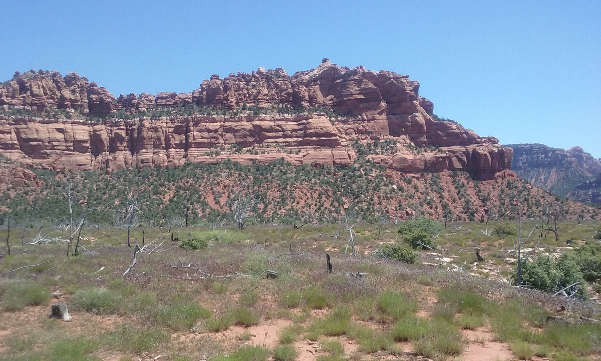 Tanya Lily Lucas (@coachthriver) on Twitter photo 