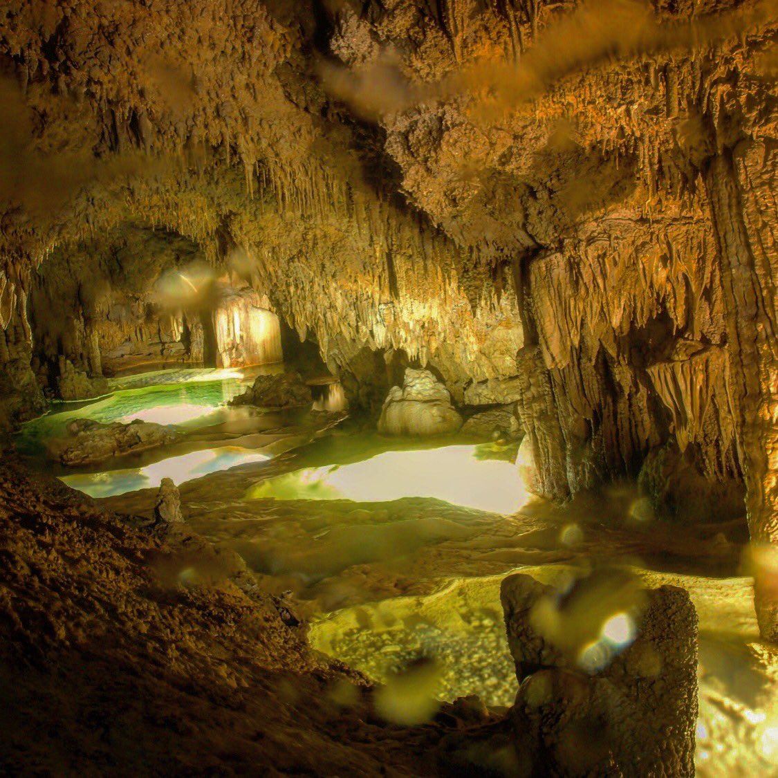 沖永良部島ケイビングガイド連盟 Twitter Search Twitter