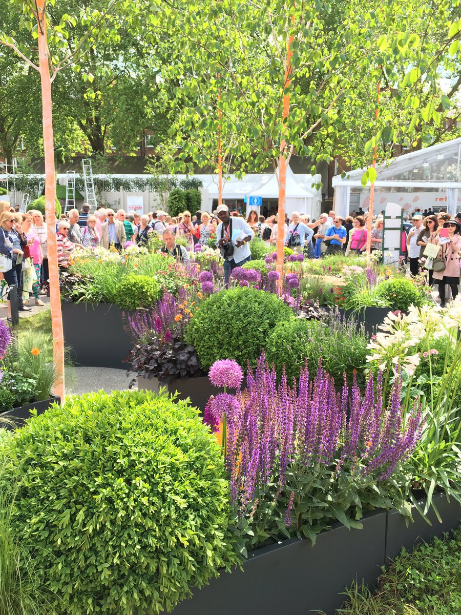 itsfredric's tweet photo. Amazing day and exciting times @The_RHS @leethegardener @BestallCo @VictoriaBID @Antler_Oak #chelseaflowershow https://t.co/r9Isg0wv8Q