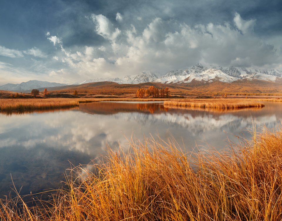 День степного озера. Озеро Джангысколь. Джангысколь Алтай. Курайская степь горный Алтай. Джангысколь озеро горный Алтай.