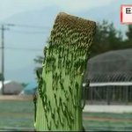 12本のアスパラが一体化し巨大化した姿がこわすぎる!