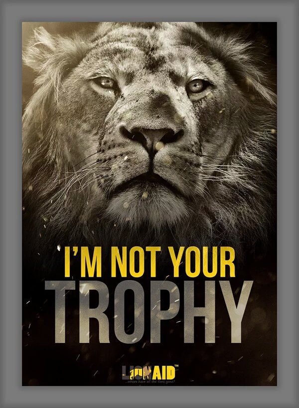 PROTECT ALL WILDLIFE tweet media