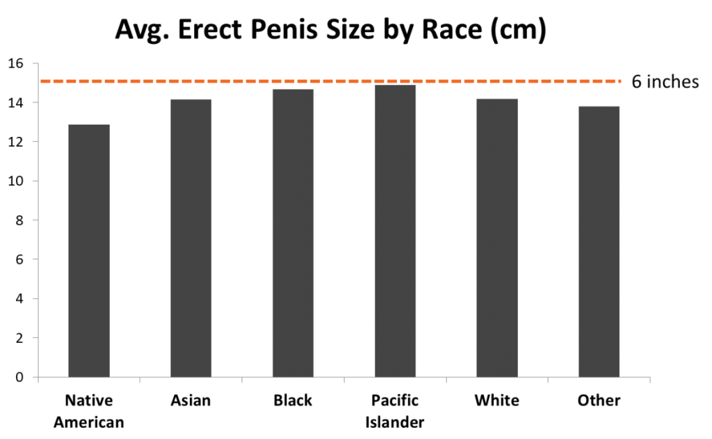 Average Penis Size