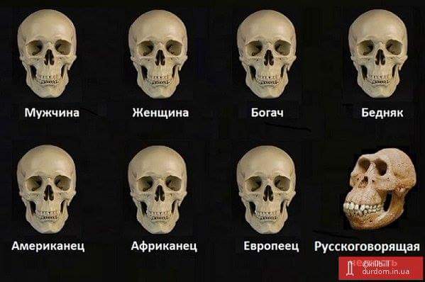 В оккупированном Севастополе хотят присвоить Путину звание "почетного гражданина" - Цензор.НЕТ 7861