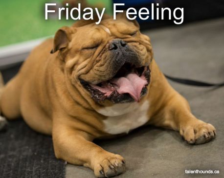 PDCNottingham's tweet image. Who else has got that Friday Feeling? #Friday #smile