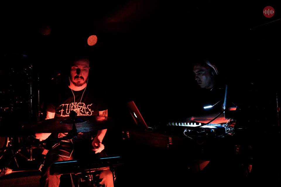 Birdhaus tweet media