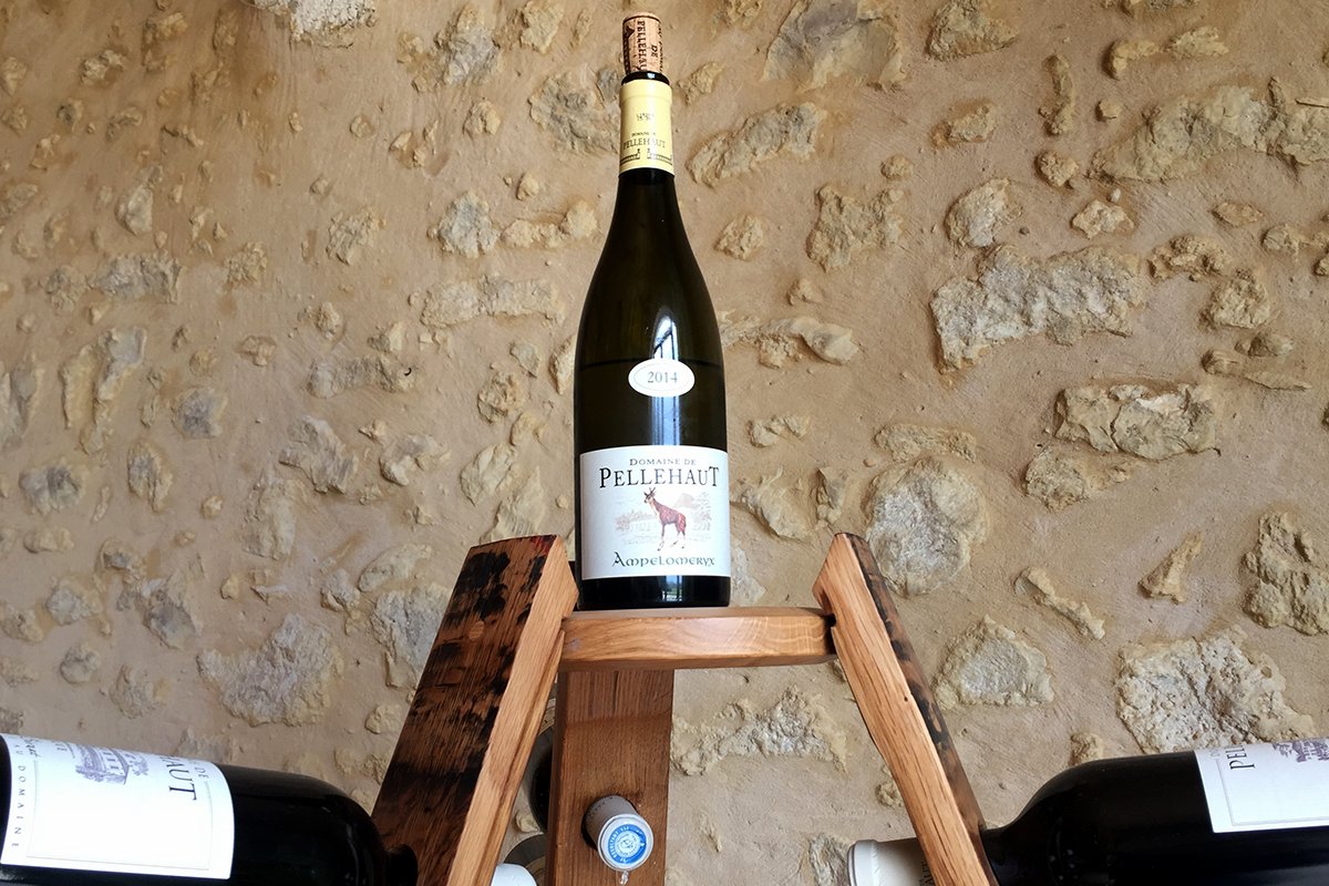 lawineista's tweet photo. Mes @vendredisduvin #85 https://t.co/GpKkVK0223 @vins_Pellehaut @CotesdeGascogne @restosducoeur #winelovers https://t.co/Sdy4KUlAvb