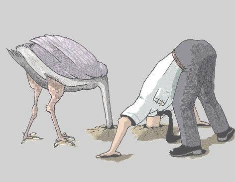 Th4bil3ng's tweet photo. @NickolausBauer Typical of anything or anyone associated with this administration #Ostrichmentality! https://t.co/YwAXeBjtG4