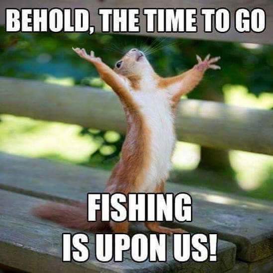 JBbugman's tweet image. HELLO!!!!! A long weekend of fishing is almost here!!!!!