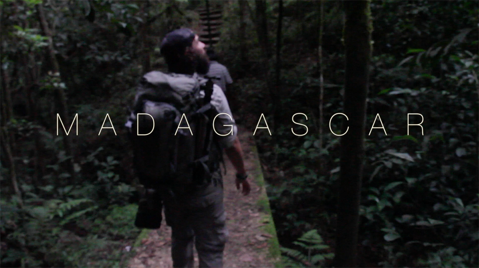 Trailer for our Madagascar adventures is out: bit.ly/1Z5rvFe <a href="/CanonAustralia/">Canon Australia</a> <a href="/wwf_mada/">WWF Madagascar</a> #wildlifephotos