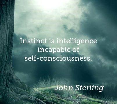 SoftwareLabels's tweet image. "#Instinct is #intelligence incapable of #selfconsciousness."