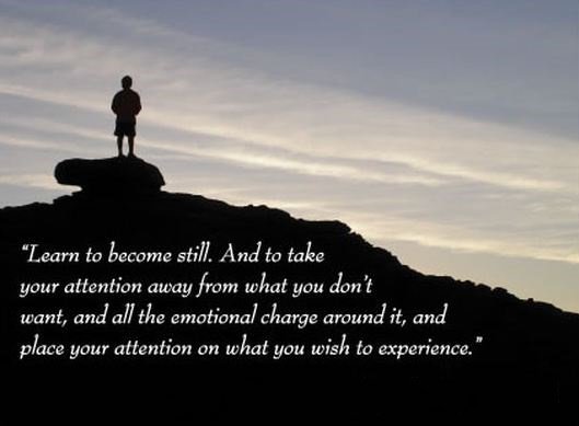 ProgramBarcode's tweet image. Learn to become still. And to take your #attention away from what you don't want, and all the #emotional #charge...