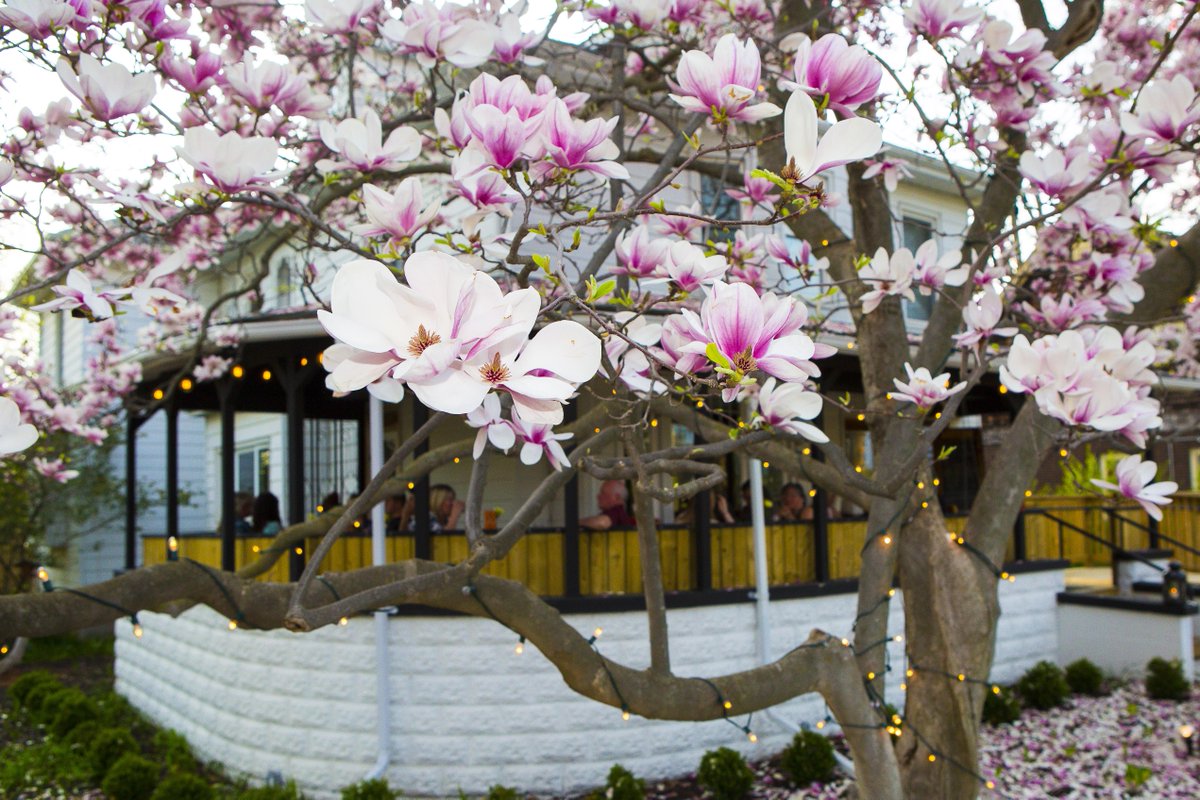 thecombinegrows's tweet image. Friday + hot weather + patio + wine + amazing service = #CombineLunch Meet you on the patio, open at 11:30am!