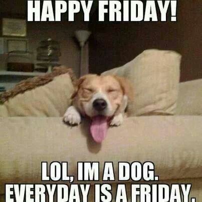 Happytailsbox's tweet photo. https://t.co/s2OH4hWipf