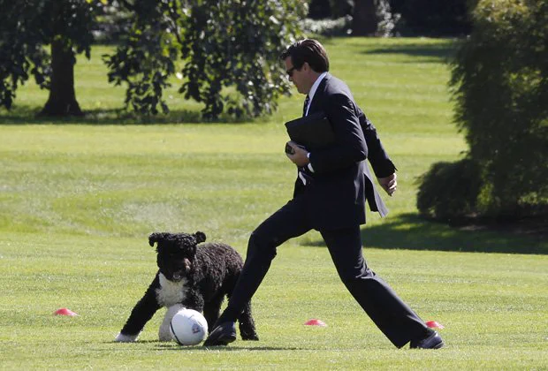 オバマ大統領の犬もやっぱり普通に自由な犬ｗｗｗ