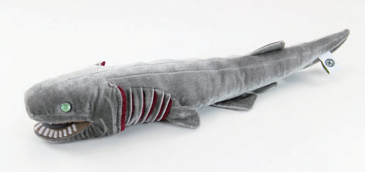 frilled shark toy