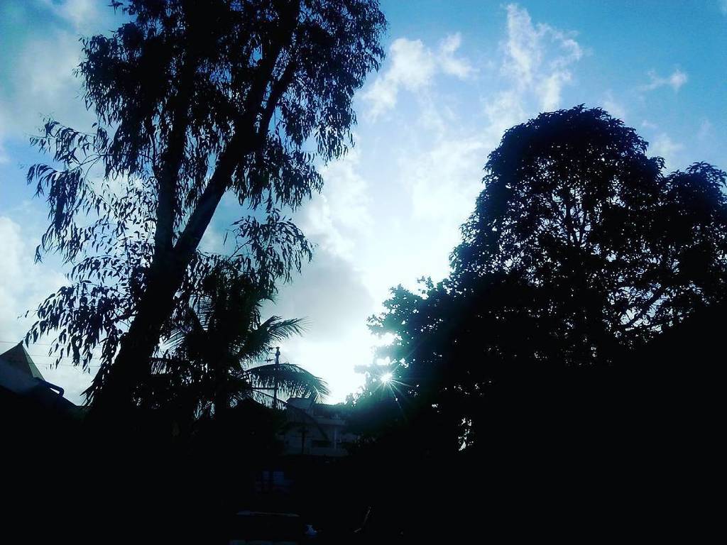 Emma_Damasco's tweet photo. #justaclick #aarinzz #photography #cellphonecapture #vasai #maharashtra #india #sun #sunrays #sky #bluesky #clouds … https://t.co/pN9P0Vc3Kc