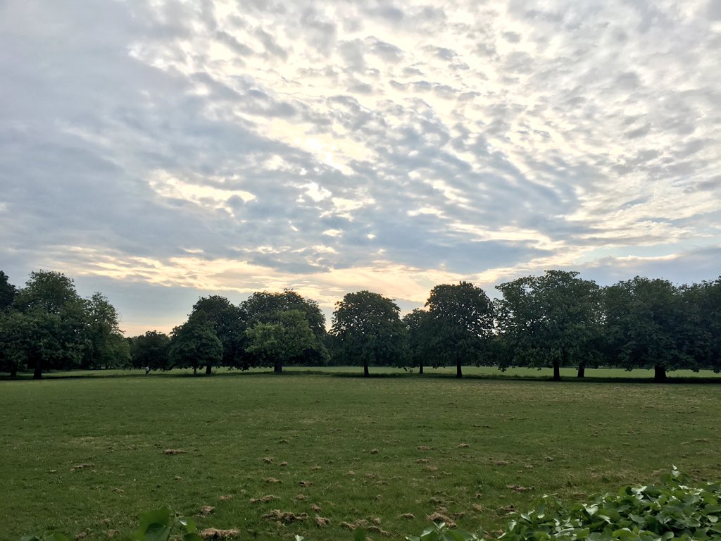 hannahksb's tweet photo. A beautiful (very) early morning run #scotchcommon @EalingCouncil https://t.co/kavQUE3zes