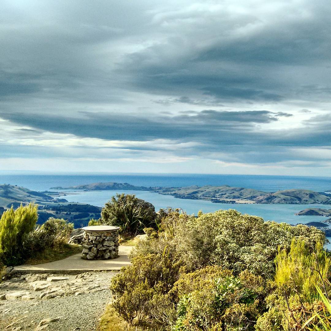 DNAttractions's tweet photo. Panoramic views of #dunedinnz from Mt Cargill. #dunedinattractions #nz #wilddunedin https://t.co/BP5kNYMzx7 https://t.co/4a0Is1dOQn