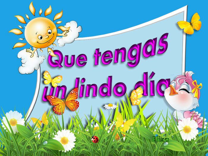 SLeRenard's tweet photo. @WapaTV @keyllitai https://t.co/0Qt0QGpd2D