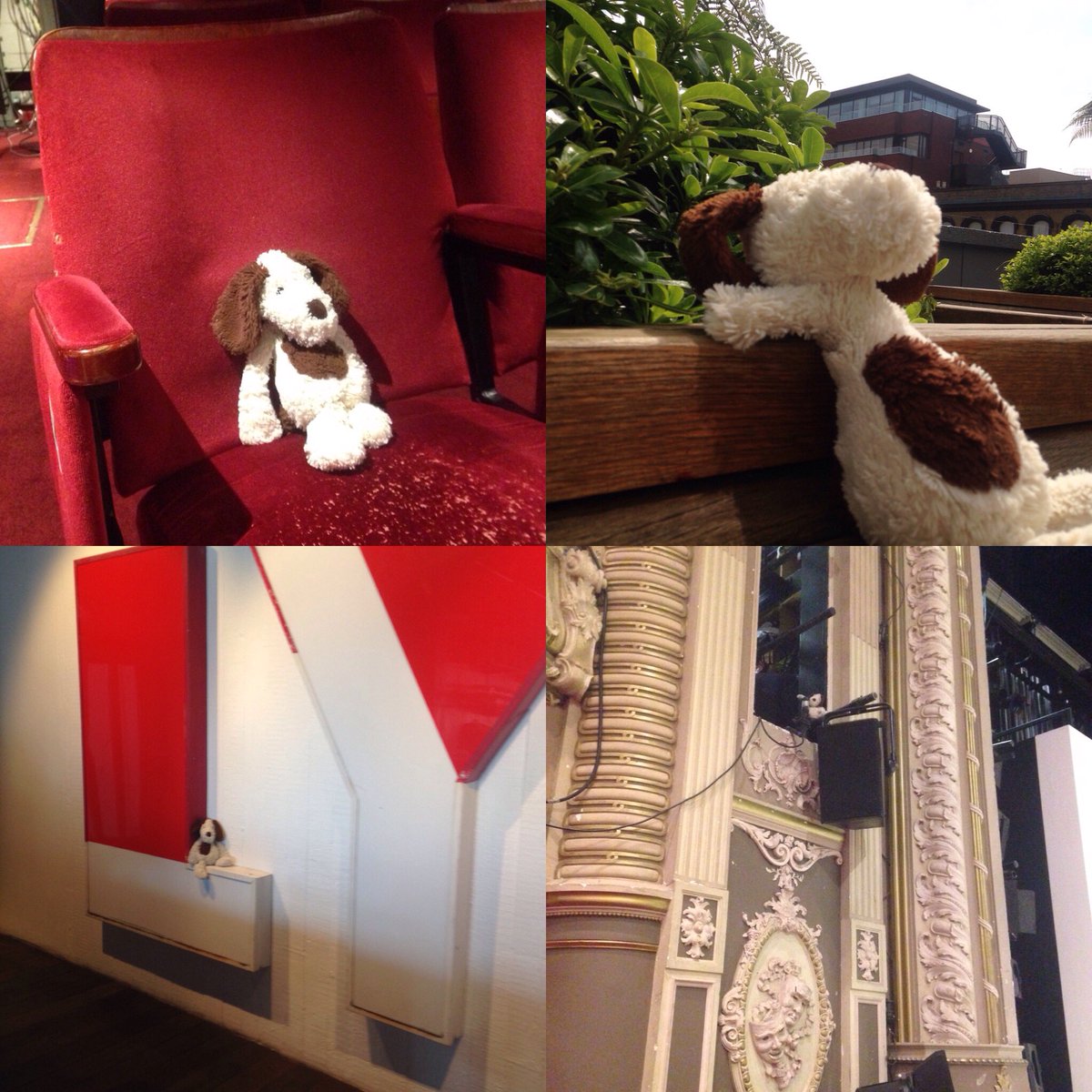 We've been looking after this little guy who was left at the Lyric...he's been enjoying theatre life #findmyowner