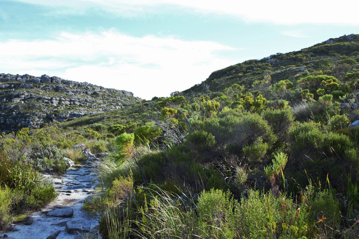 Going out there? For those lucky people planning some #fieldwork, some grants which may help bit.ly/25lXIvN