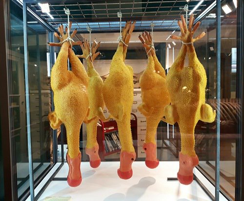 GrantMuseum's tweet photo. 12 artists have taken over the museum for the Summer. Our #Skullpture exhibition is now open
https://t.co/x57r9Bx2zU https://t.co/1OgvSD8qH5