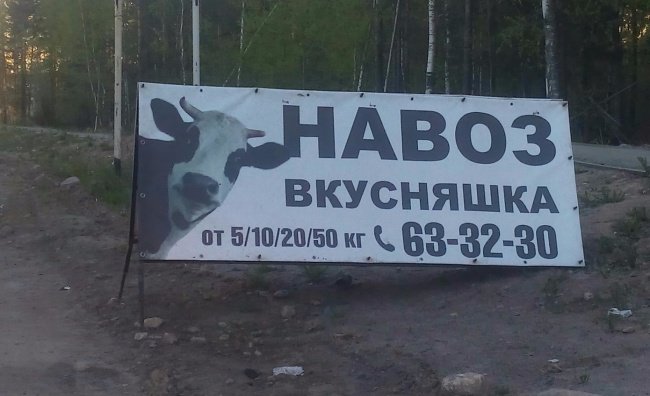 Россия хочет продлить продэмбарго до конца 2017 года - Цензор.НЕТ 1629