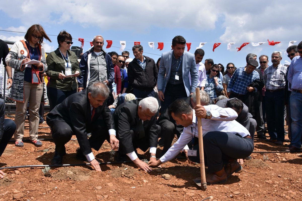 Osman Gürün