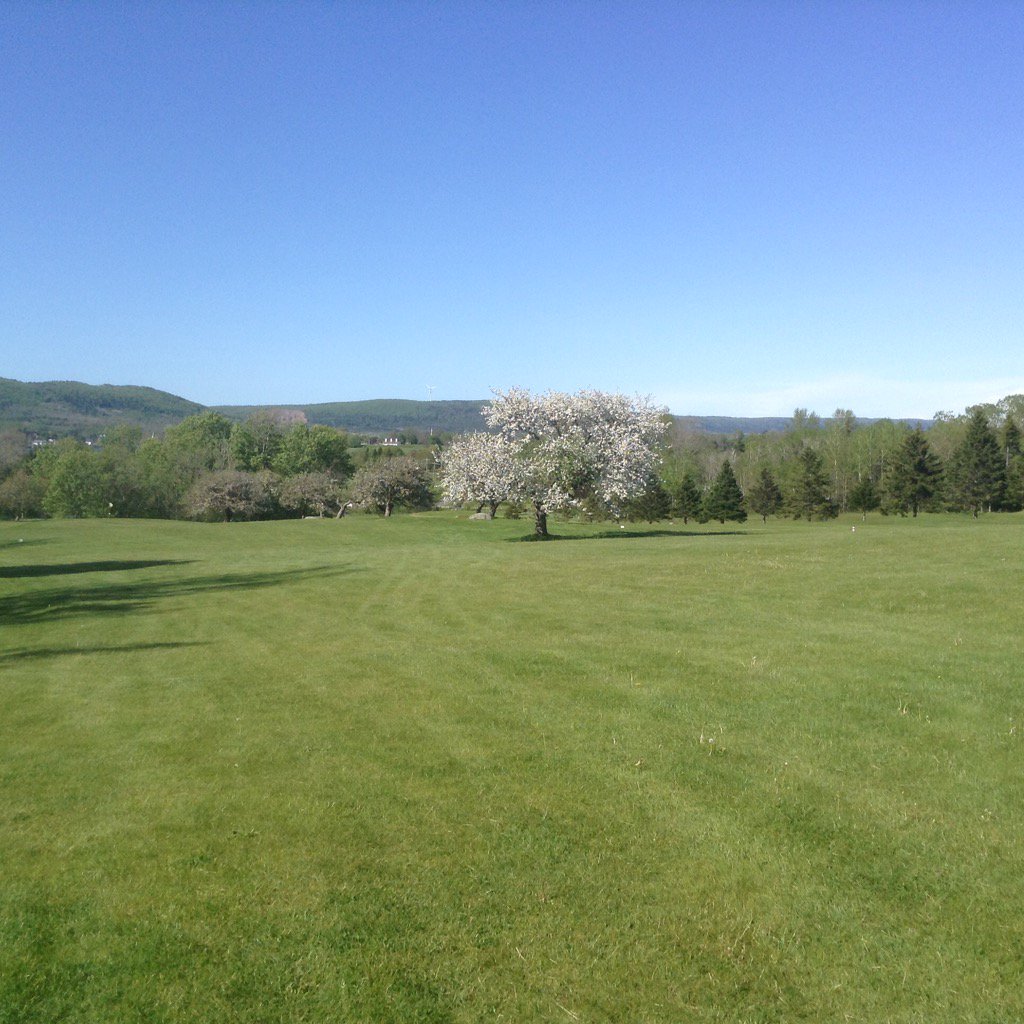 ARGolfJacqui7's tweet photo. Apple blossom trees in flower. Fort Anne behind Great day to golf. Annapolis Royal $25 tax in no tee time required https://t.co/BbYckJXKVE