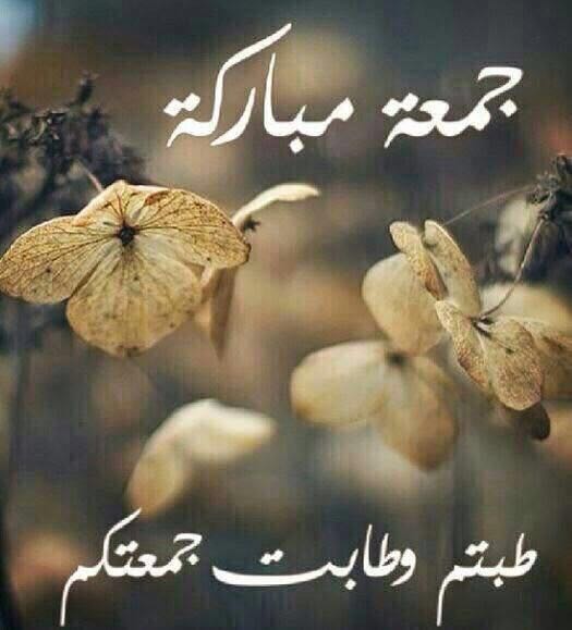 HAldaowdy's tweet photo. جمعة مباركة عليكم https://t.co/2LQoioZ78g