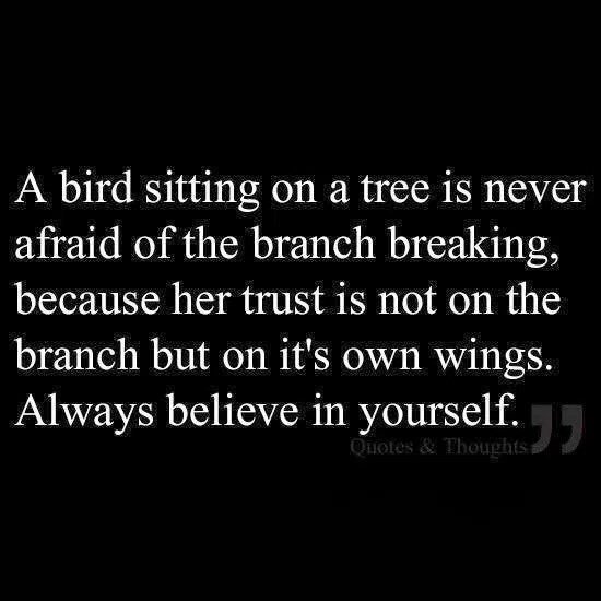 kylie jaye tweet media